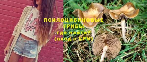 скорость Баксан